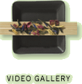 Video gallery.