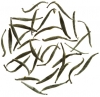 White Darjeeling 
